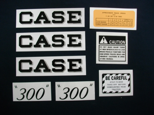 Case 300