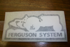 Ferguson System
