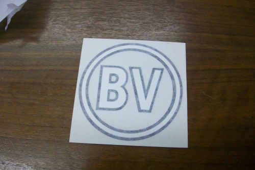 BV Model Letter